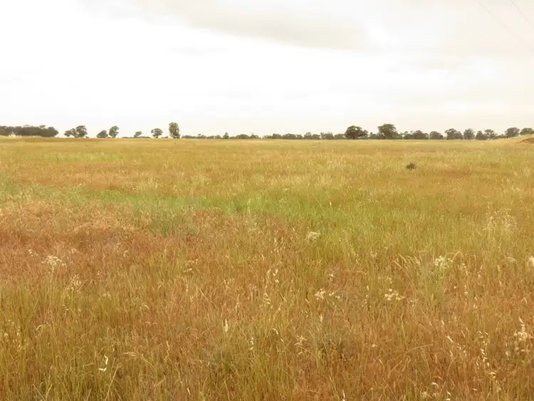 Main view of Homely rural property listing, "Hillview" Goldfields Way, Temora NSW 2666