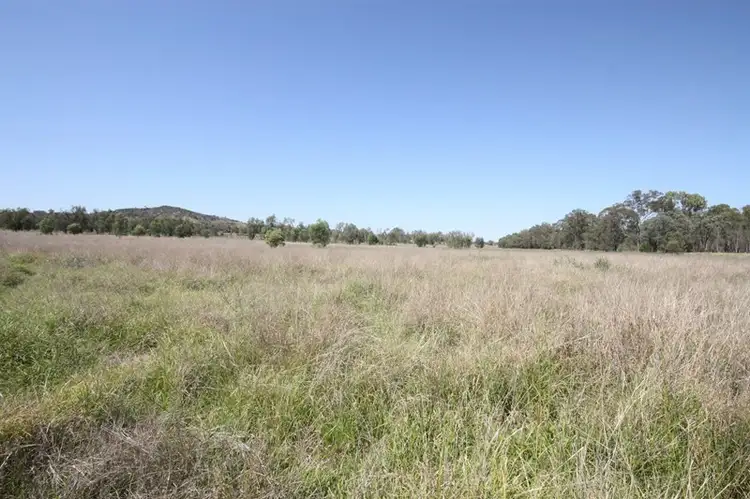 775 Drumburle Road, Thangool QLD 4716