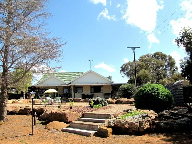 Main view of Homely house listing, 1684 Bookpurnong Road, Loxton SA 5333