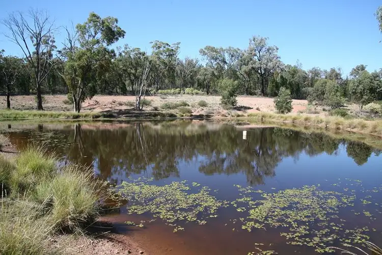 Third view of Homely rural property listing, 893 "Dulladerry" Monaghan Road, Manildra NSW 2865