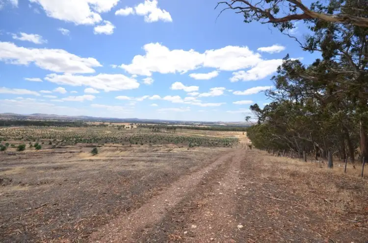 Main view of Homely rural property listing, "Padgett" Iron Pot Creek Road, Warrak VIC 3377