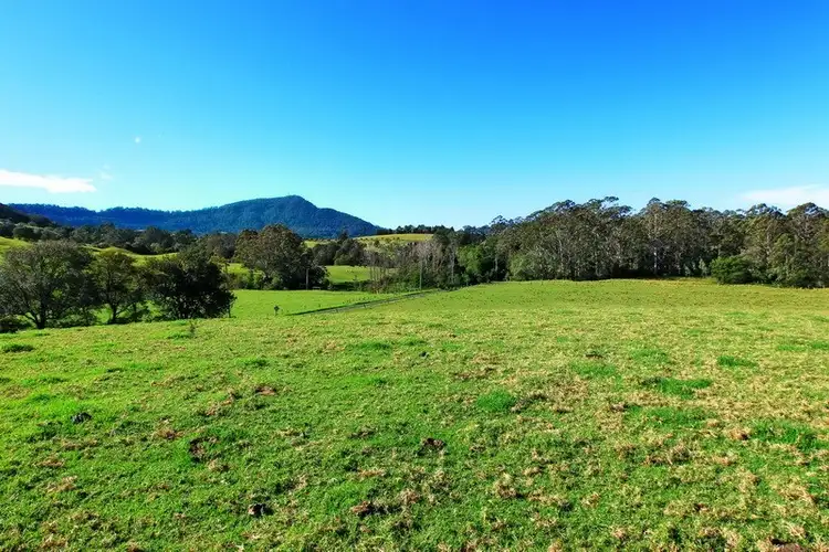 Fourth view of Homely rural property listing, Lots 56 and 111 Main Road, Cambewarra NSW 2540
