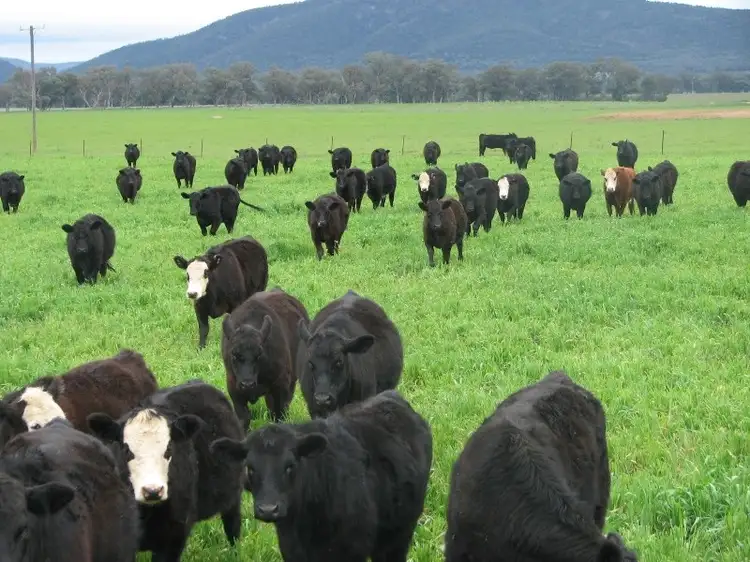 Third view of Homely rural property listing, Address available on request