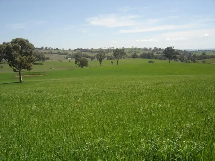 Third view of Homely rural property listing, 22 Purdons Lane, O'connell NSW 2795