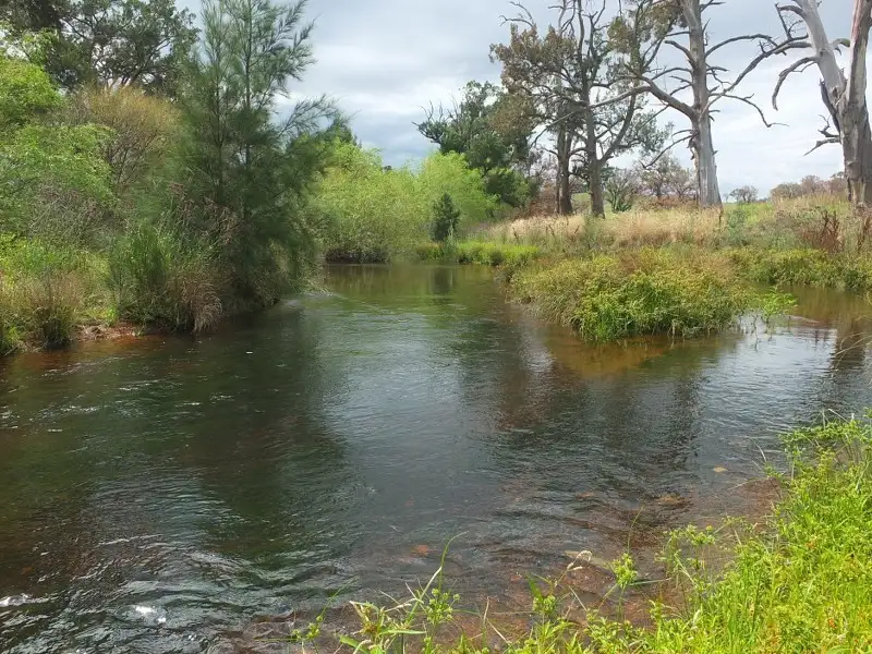 Main view of Homely rural property listing, 1672 Mutton Falls Road, O'connell NSW 2795