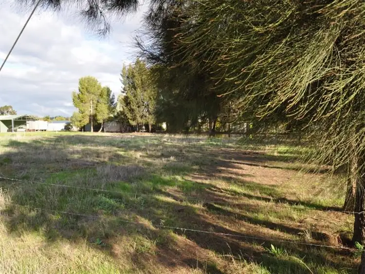 Lots 1,2,3 Evelyn Street, Eugowra NSW 2806