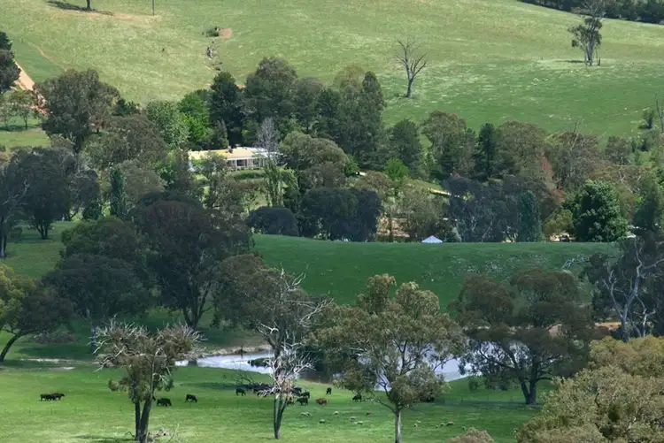 Second view of Homely rural property listing, 1157 Bald Ridge Road, Burraga NSW 2795