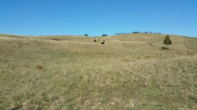 Fourth view of Homely rural property listing, Lot 101 Longview Road, Big Hill NSW 2579