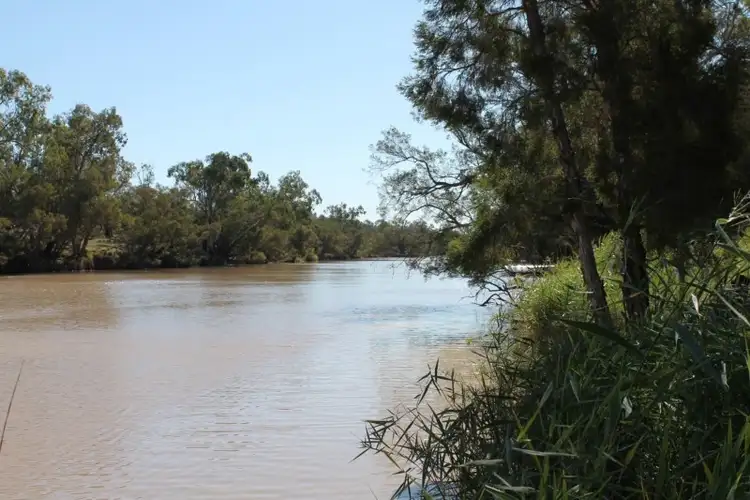 Seventh view of Homely rural property listing, 302 THUNGABY Road, St George QLD 4487