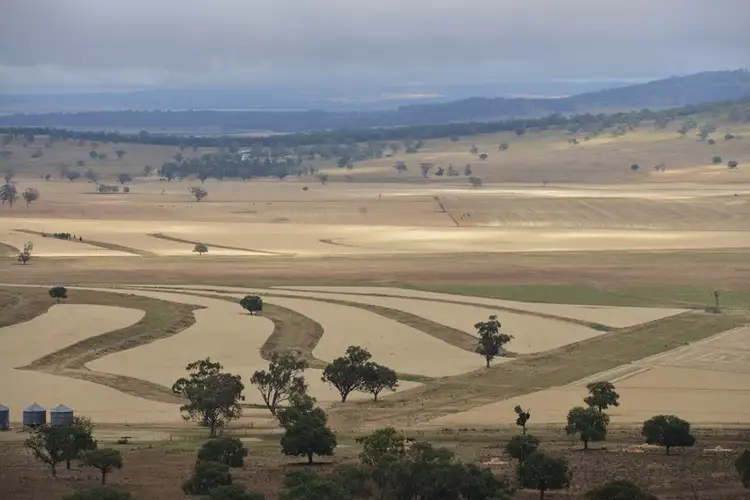 Third view of Homely rural property listing, " Barrington Park", Quirindi NSW 2343