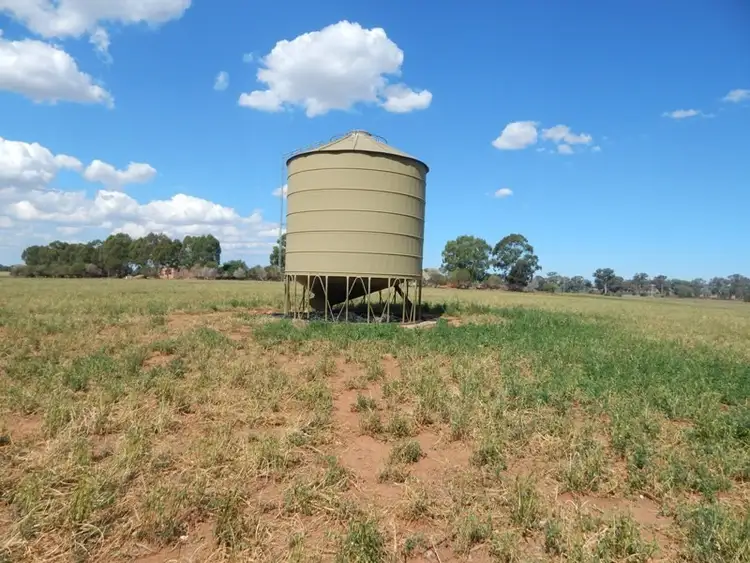 Fifth view of Homely rural property listing, 6138 Olympic Way, Cowra NSW 2794