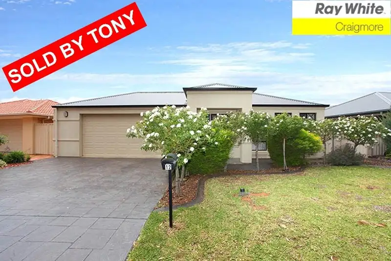 Main view of Homely house listing, 12 Iberia Way, Smithfield SA 5114