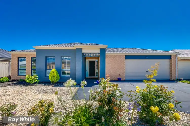 6 swordgrass Avenue, Tarneit VIC 3029