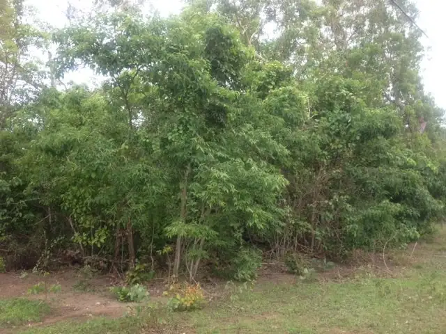 Main view of Homely land listing, Lot 3125 82 Zuleika Road, Dundee Beach NT 840