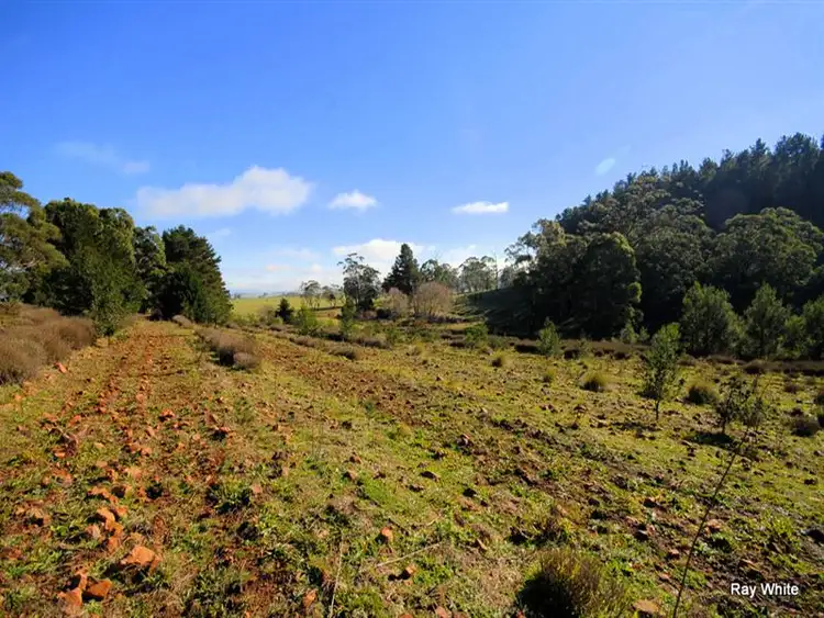 Seventh view of Homely rural property listing, 200 Torpys Lane, Braidwood NSW 2622