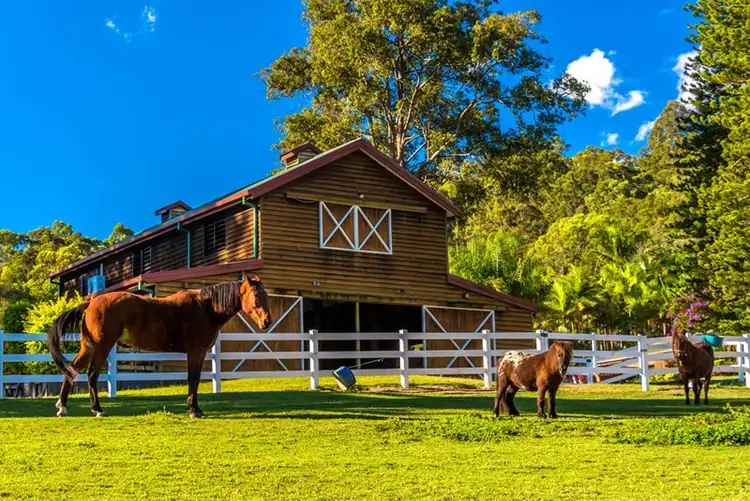 Sixth view of Homely house listing, 571 Gold Coast-Springbrook Road, Mudgeeraba QLD 4213