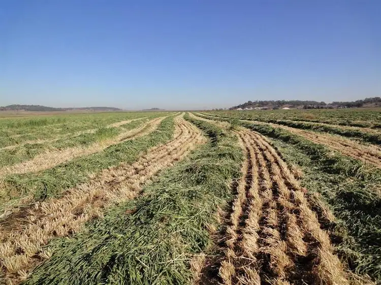 Seventh view of Homely rural property listing, " Willow Glen ", Oakey QLD 4401