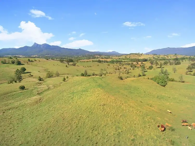 Lot 28 Hoggs Road, Tyalgum NSW 2484