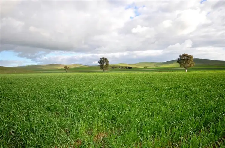 Main view of Homely rural property listing, "Wandowie" Pipeline Road, Leighton SA 5417