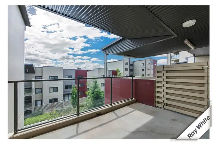 Main view of Homely house listing, 36/21 Battye Street, Bruce ACT 2617