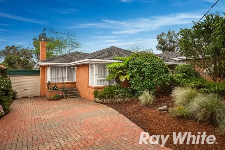 20 Lupin Street, Blackburn North VIC 3130