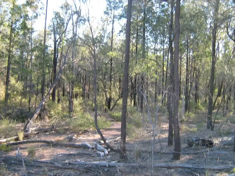 Main view of Homely land listing, Lot 56, 0 Crosbies Road, Goranba QLD 4421