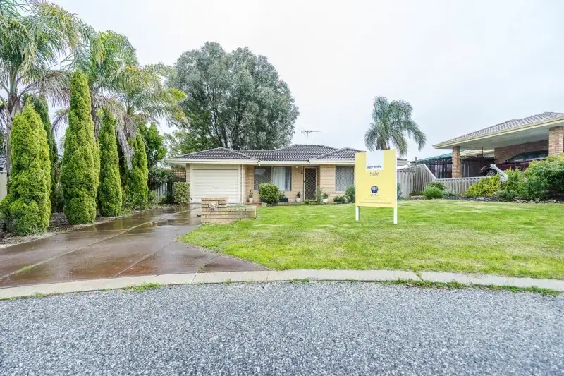 Main view of Homely house listing, 5 Veldt Mews, Mirrabooka WA 6061