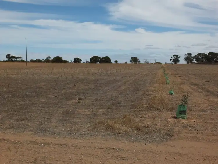 Third view of Homely land listing, Lot 31 Ellis Road, Wallaroo SA 5556