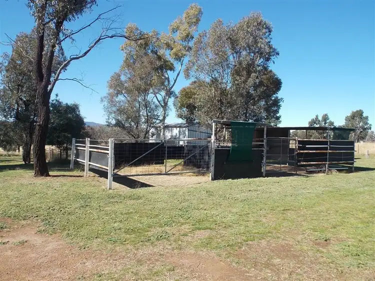 Second view of Homely rural property listing, 0 Cooks Hill Road, Alectown NSW 2870