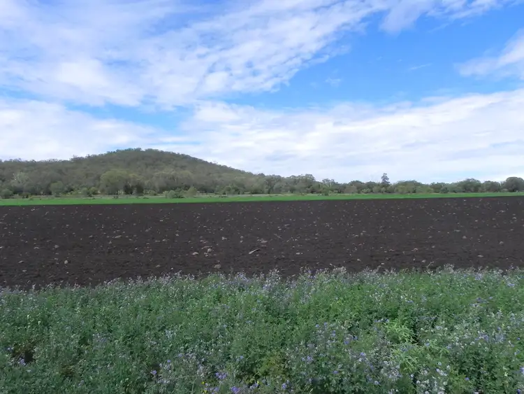 Seventh view of Homely rural property listing, 0 Wyangapinni Road, Stoneleigh, Pittsworth QLD 4356