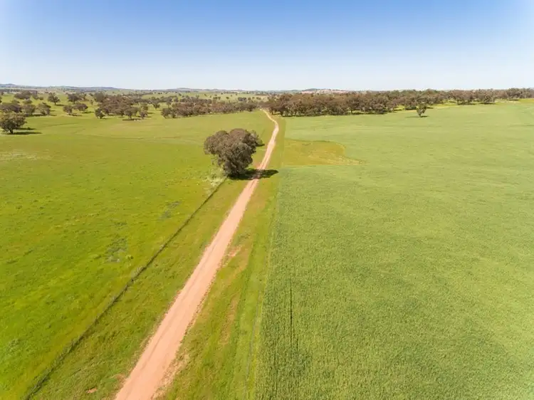 Fifth view of Homely rural property listing, Address available on request