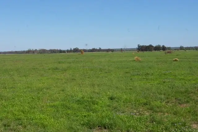 Second view of Homely rural property listing, 0 Texas-Yelarbon Road, Beebo QLD 4385