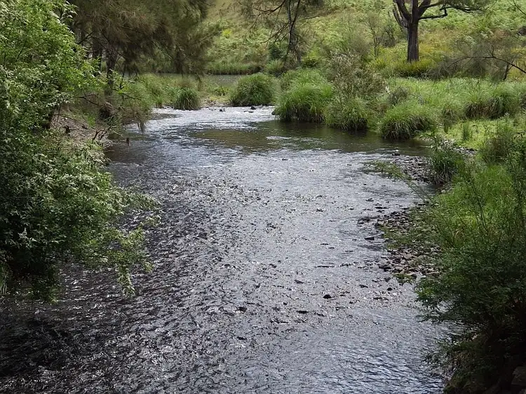 Third view of Homely rural property listing, 640 Harness Cask Road, Tyringham NSW 2453