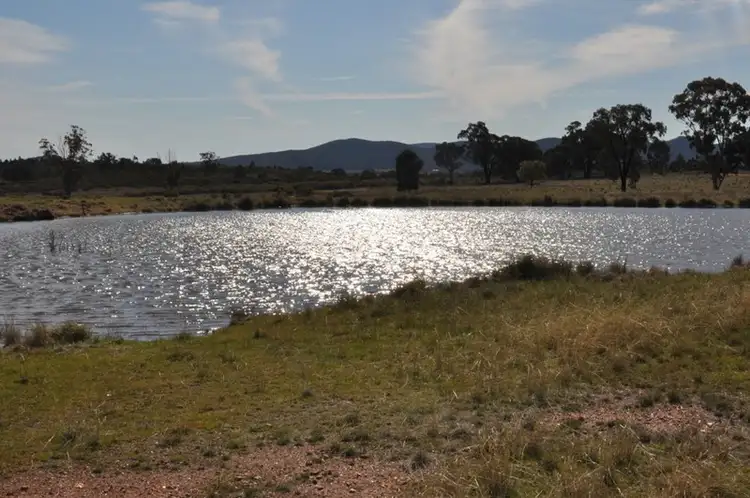 Fifth view of Homely rural property listing, 134 "Blue Meadows" Job Lane, Parkes NSW 2870