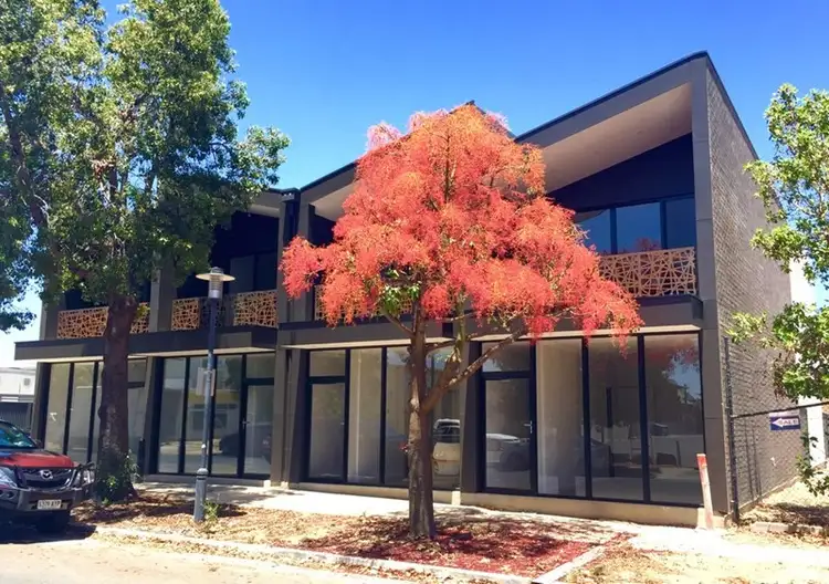 3/42 Orsmond Street, Hindmarsh SA 5007