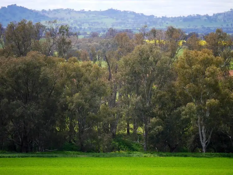Second view of Homely rural property listing, 1628 Lachlan Valley Way, Cowra NSW 2794