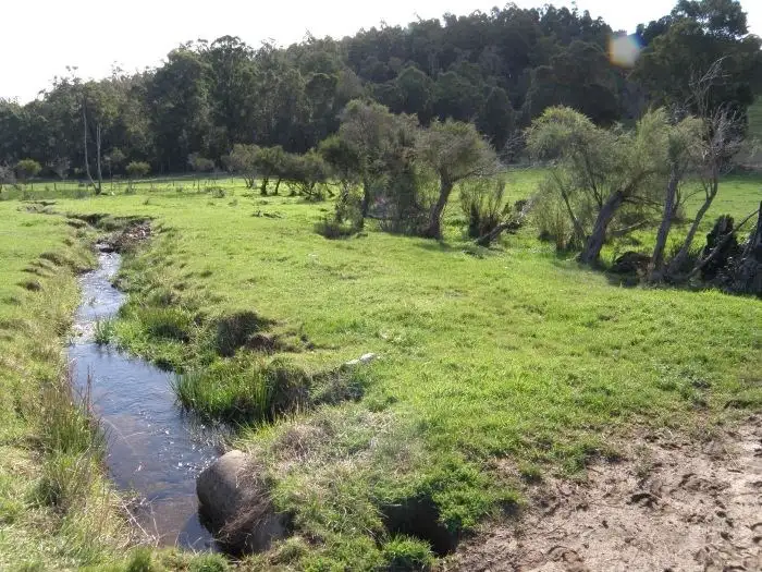 Third view of Homely rural property listing, Lot 800 Graphite Road, Nannup WA 6275