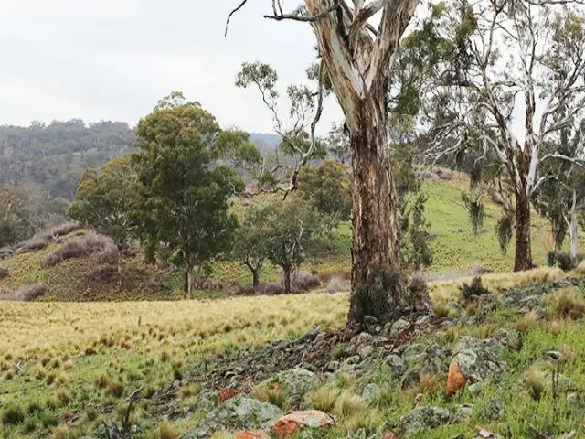 Address available on request