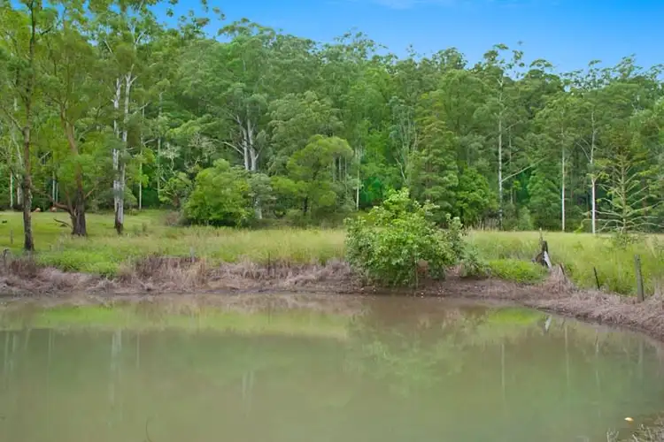 Third view of Homely rural property listing, 2943 Nerang-Murwillumbah Road, Natural Bridge QLD 4211