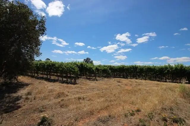 Main view of Homely rural property listing, Lots 2 and 3 Ballantine Road, Waikerie SA 5330