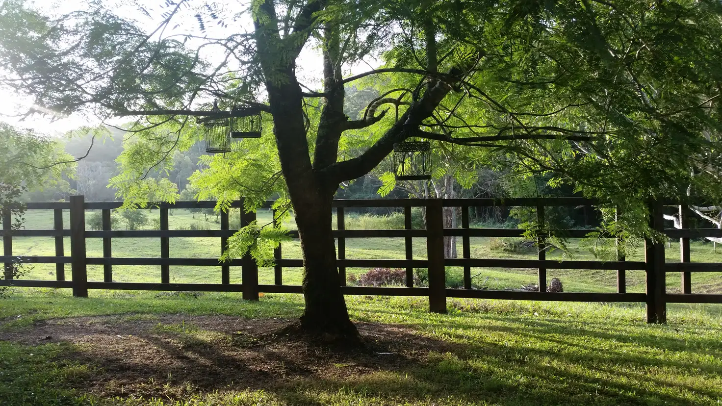 Main view of Homely house listing, 482 Waitui Road, Waitui NSW 2443