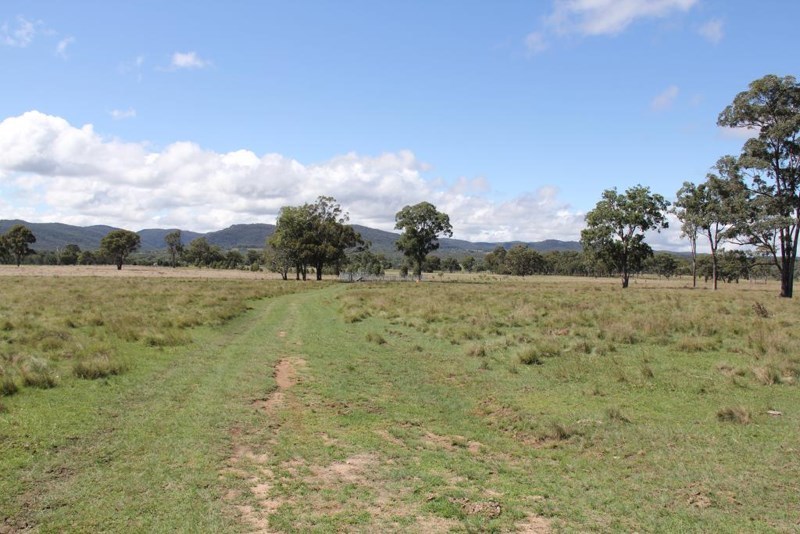 Seventh view of Homely rural property listing, 888 Bruxner Highway, Tenterfield NSW 2372