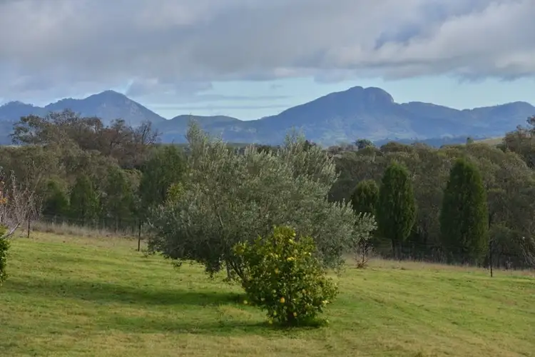 Third view of Homely rural property listing, .TIMBYDALE NEWEL Highway, Coonabarabran NSW 2357