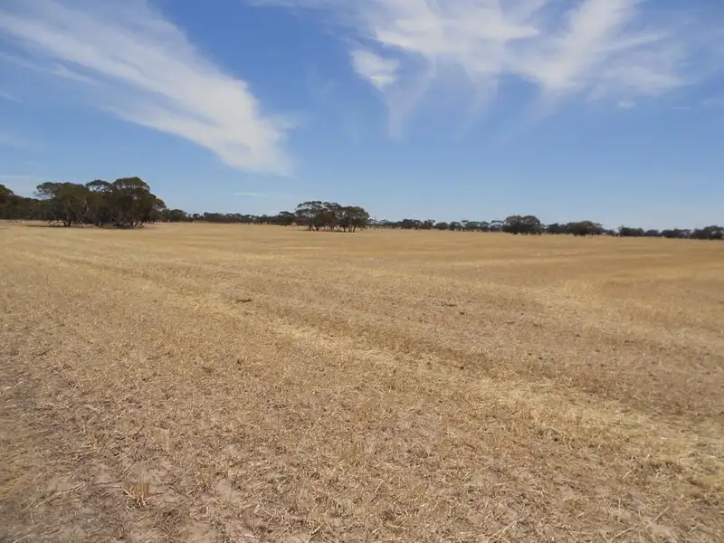 Main view of Homely rural property listing, 4703 Emu Flat Road, Bordertown SA 5268