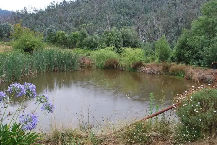 Third view of Homely house listing, 325 Myrtleford - Stanley Road, Mudgegonga VIC 3737