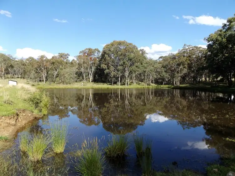 Second view of Homely rural property listing, 0 Strathbogie Road, Glen Innes NSW 2370