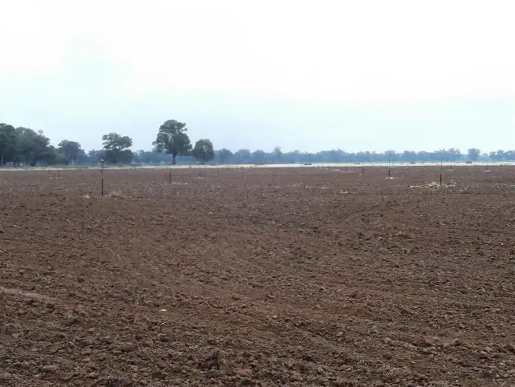 Third view of Homely rural property listing, 61 Farleigh Reserve Road, Cowra NSW 2794