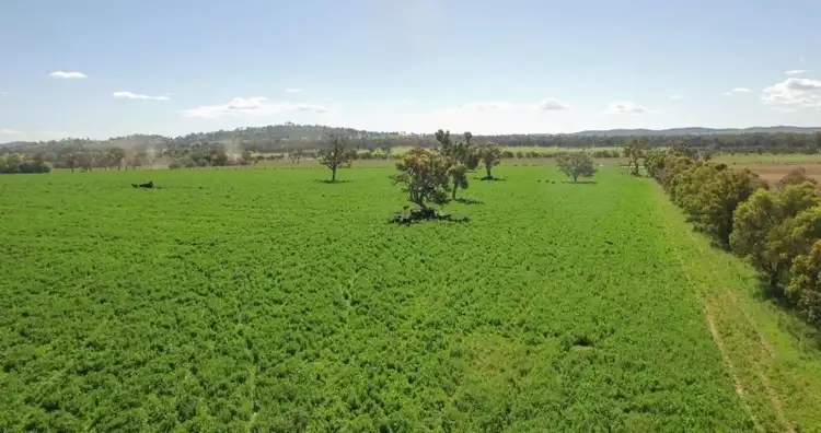 Fourth view of Homely rural property listing, Roseneath 2004 Rangers Valley Road, Glen Innes NSW 2370
