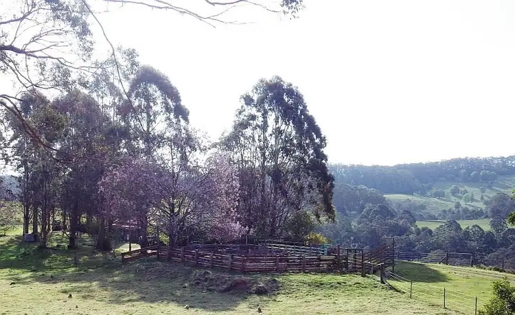 1956 Old Deervale Loop Road, Deer Vale NSW 2453