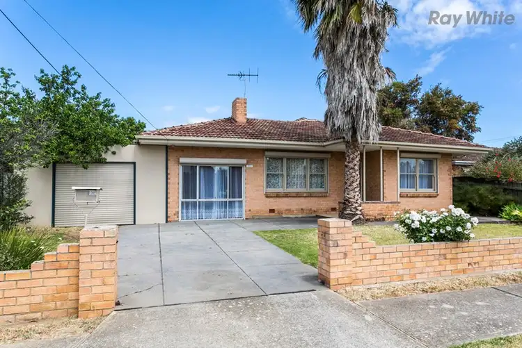 Main view of Homely house listing, 20 Tarranna Avenue, Park Holme SA 5043